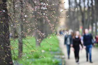Штрафы, пособия и иноагенты. Что изменится в жизни россиян в марте