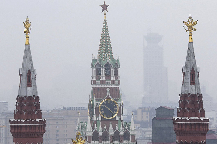 Георгины кремлевские звезды фото