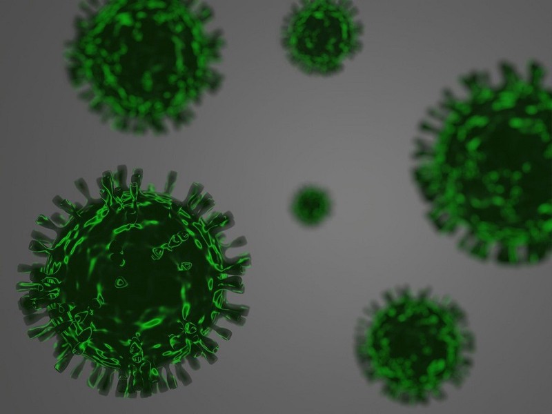 Скорость изменчивости штамма коронавируса изучили российские ученые