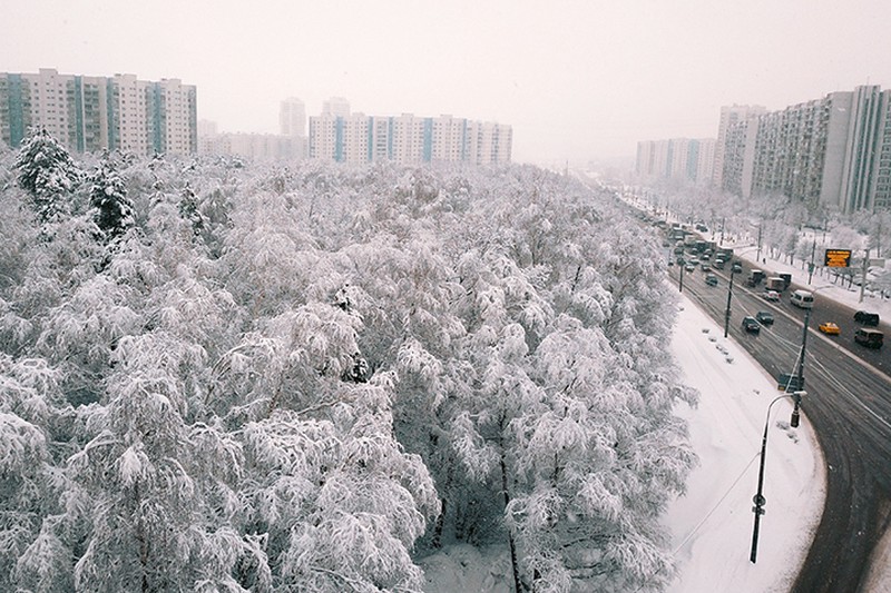 Синоптики назвали декабрь самым теплым месяцем зимы 2020-2021 года в Москве