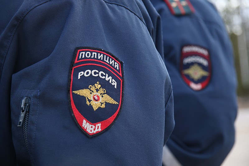 Полицейские в Домодедове изъяли крупную партию чая с наркотиками
