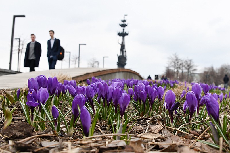 Майская погода пришла в Москву 11 апреля