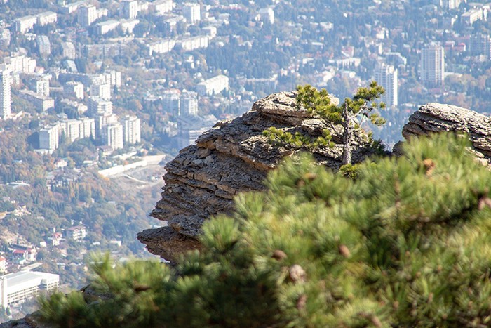 Власти Крыма оценили затраты на восстановление после подтопления