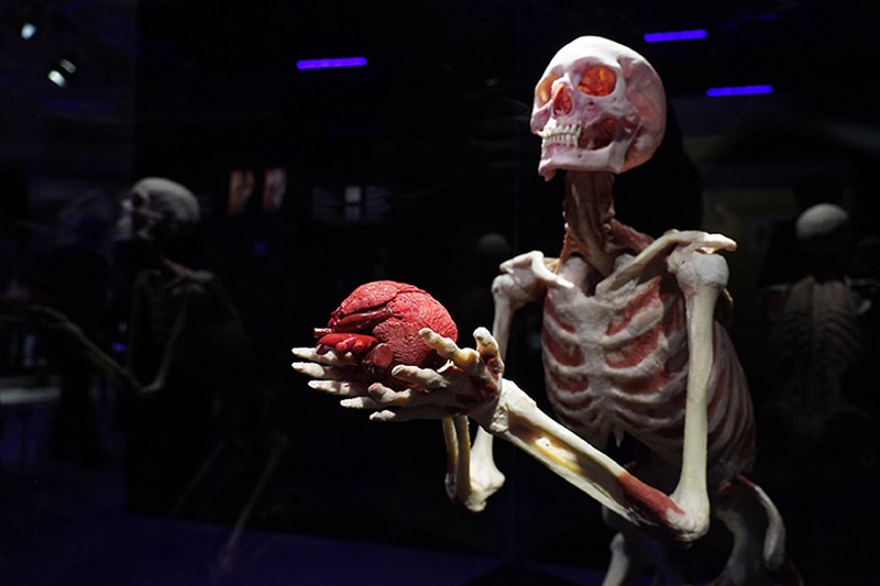 «Мертвецы как развлечение»: депутат Госдумы прокомментировала повышение возрастного ценза выставки «Мир тела»