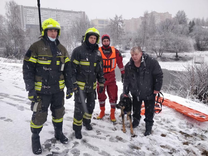 Провалившуюся под лед собаку спасли под Зеленоградом