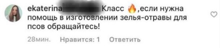 «Поплатилась»: коллеги рассказали о медсестре, предложившей готовить яд для собак