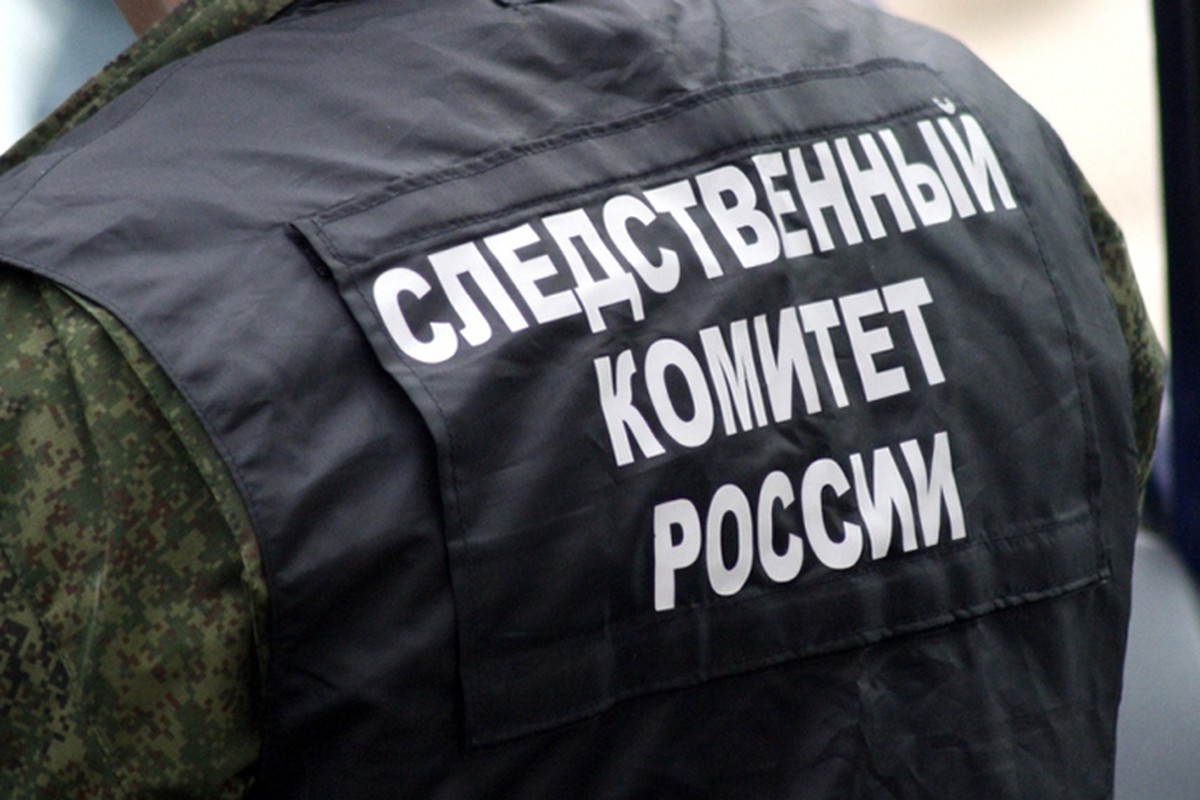 СК организовал проверку после гибели подростка при катании на тюбинге в Москве