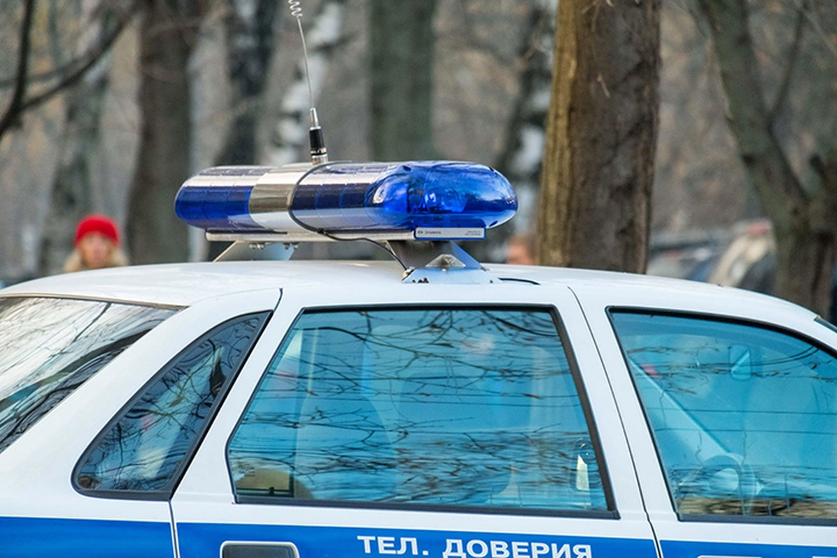 Сумку с вещами на 165 тысяч рублей похитили из припаркованной машины в Хамовниках