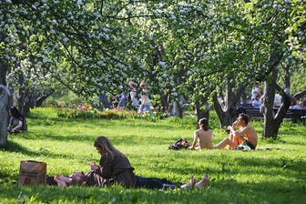 МЧС предупредило москвичей о сильной жаре 19 июня