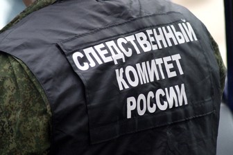 Следком выявил новые эпизоды по делу задержанного в Подмосковье за подготовку к теракту