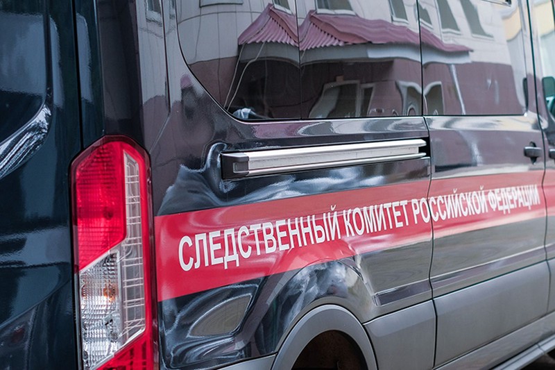 СК задержал подозреваемую в похищении ребенка в Московской области