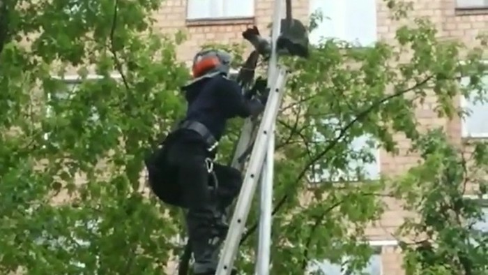 Столичные спасатели помогли застрявшим в опорах фонарей воронятам