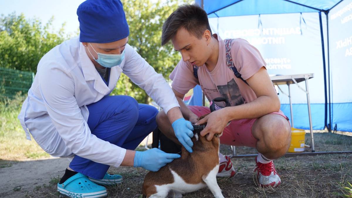 Ветеринарная помощь на дому москва