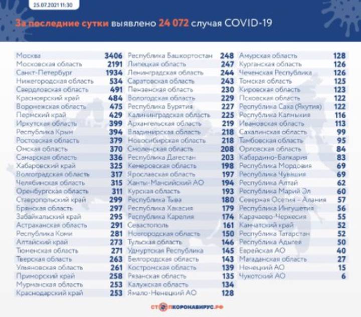 Более 24 тысяч случаев коронавируса выявили в России за сутки