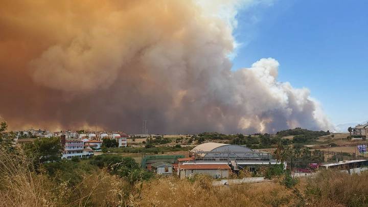 Фото: предоставлено очевидцем Фото: предоставлено очевидцем