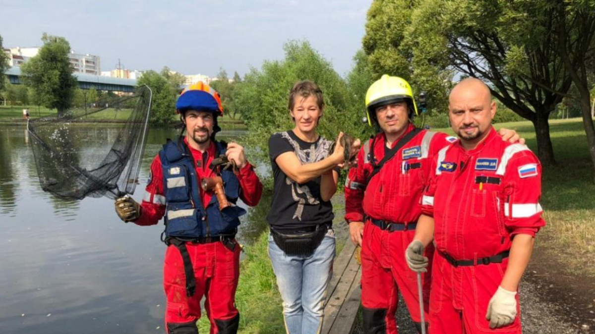 Спасатели помогли утке, упавшей в коллектор на юго-западе Москвы