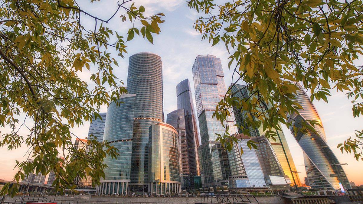 Яблоневый сад и пешеходная зона появятся в Пресненском районе Москвы