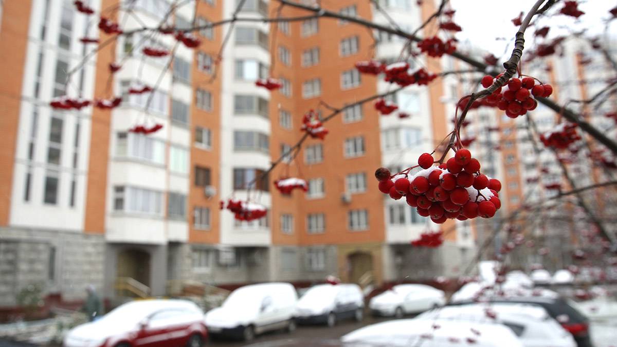 Первый в текущем зимнем сезоне снежный покров сформировался в столице