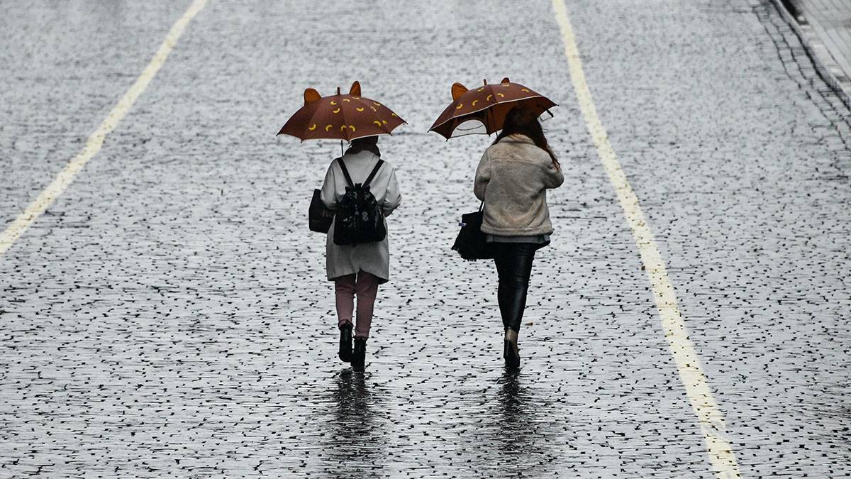 Синоптики пообещали жителям Подмосковья неделю проливных дождей
