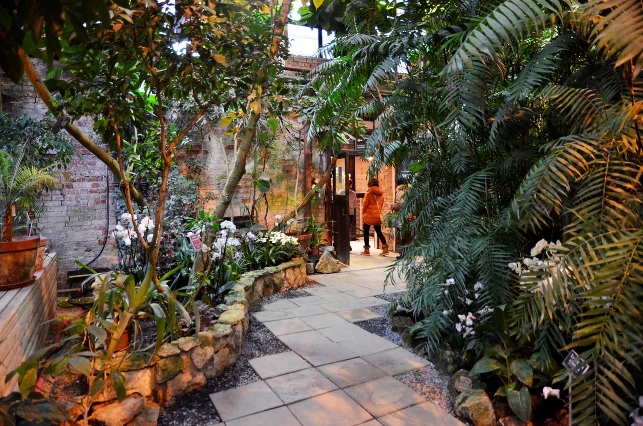 Финальная экскурсия по саду лекарственных растений состоится в «Аптекарском огороде». Фото: Анна Быкова