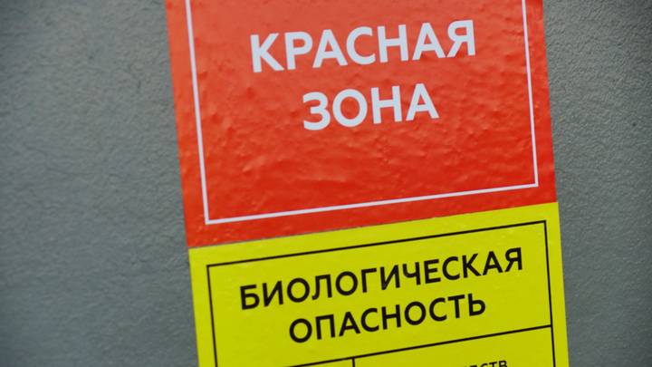 За гранью: Корреспондент «Вечерней Москвы» на один день стала волонтером «красной» зоны