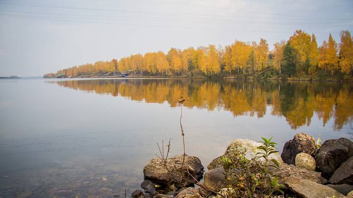 Осень — это время тишины