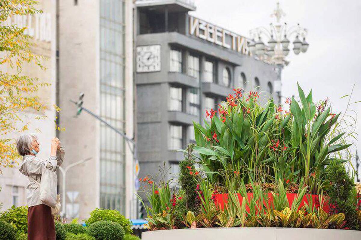 Москвичам предложили посетить необычные сады «Цветочного джема» на Тверском бульваре