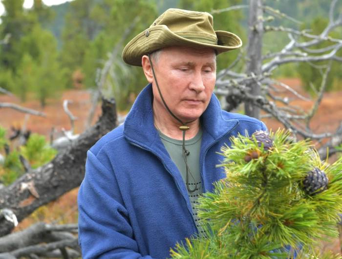 «Чуть нас не сбили»: маралы выбежали к автомобилю Путина в сибирской тайге