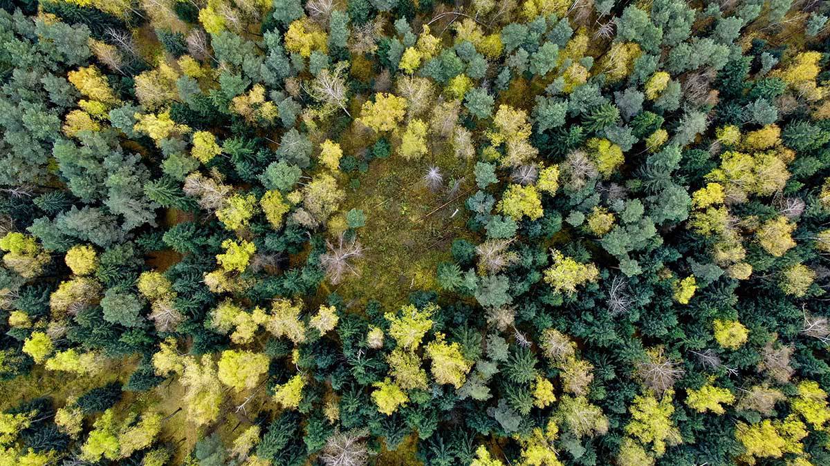 Что случилось в звенигороде. Смотреть фото Что случилось в звенигороде. Смотреть картинку Что случилось в звенигороде. Картинка про Что случилось в звенигороде. Фото Что случилось в звенигороде