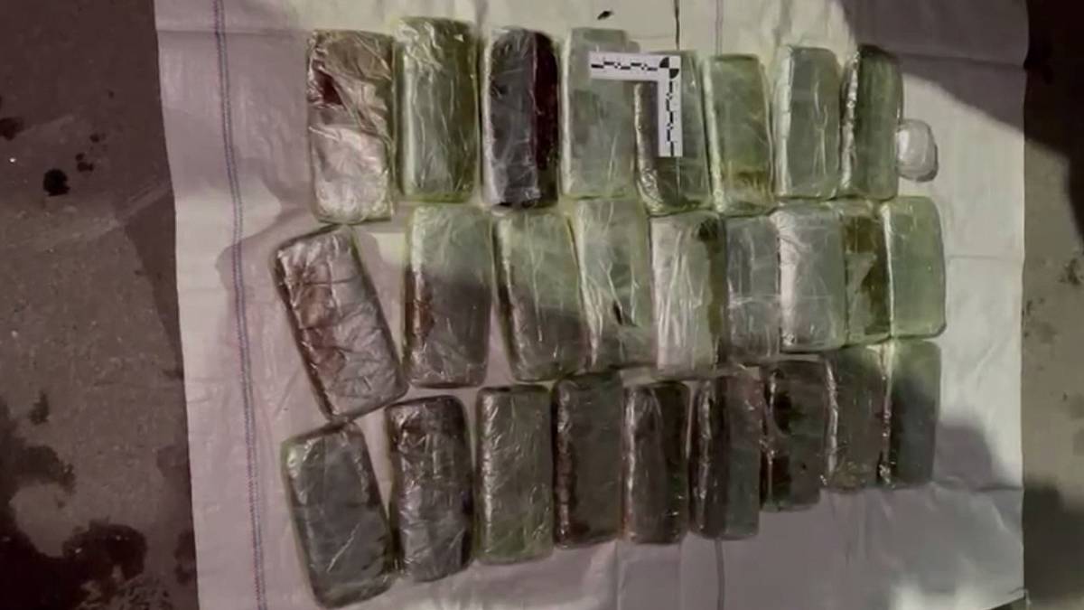Более 10 килограммов гашиша изъяли у наркоторговца в Подмосковье