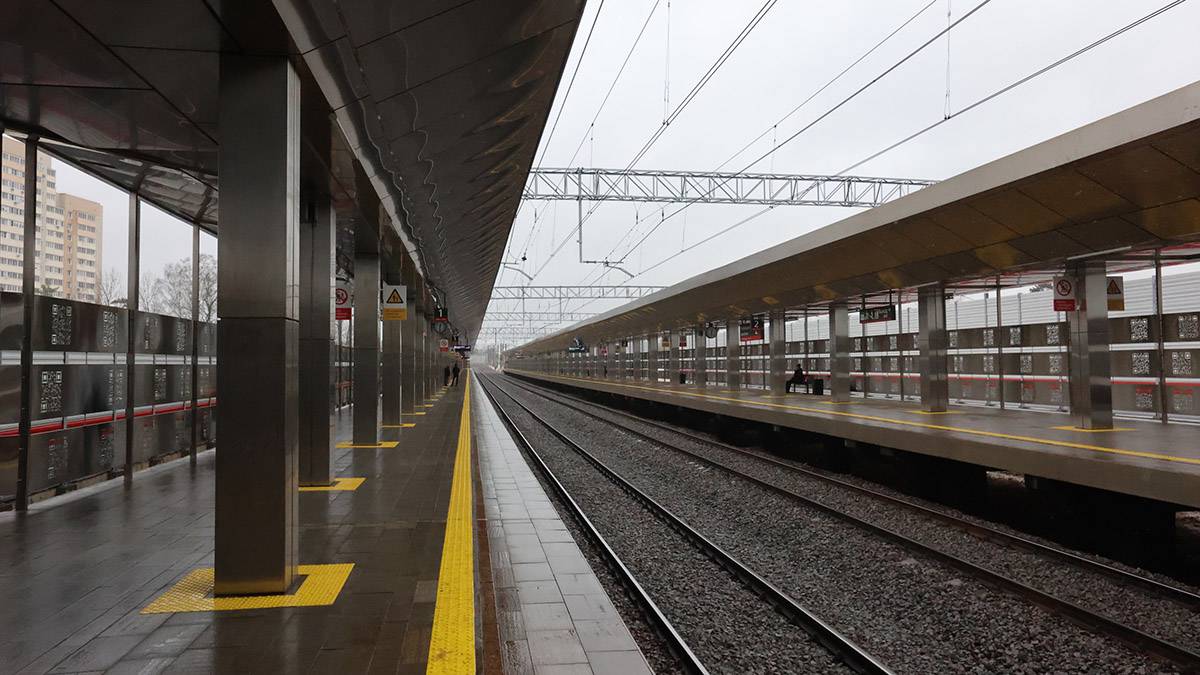 Поезда задерживаются на Рижском направлении МЖД из-за человека на путях