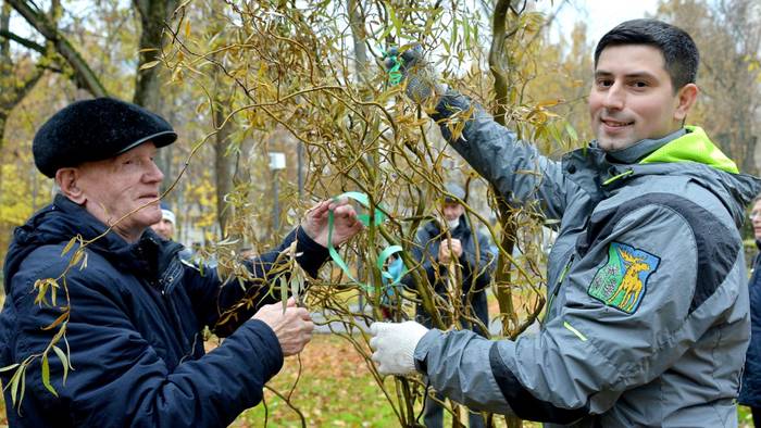 Высадить новые деревья собрались все жители района