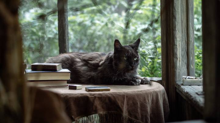 воланд персонаж булгакова актер. 720 616ecb6682682c76a0ddadc3. воланд персонаж булгакова актер фото. воланд персонаж булгакова актер-720 616ecb6682682c76a0ddadc3. картинка воланд персонаж булгакова актер. картинка 720 616ecb6682682c76a0ddadc3. Роман Михаила Булгакова "Мастер и Маргарита" вышел лишь в 1966 году, более 25 лет жена Булгакова Елена редактировала рукописи. Произведение тут же привлекло внимание режиссеров, но поставить его на советской сцене разрешили лишь спустя 10 лет. И, конечно, это был самый передовой в те годы Театр на Таганке Юрия Любимова. воланд персонаж булгакова актер. 720 616ecb6682682c76a0ddadc3. воланд персонаж булгакова актер фото. воланд персонаж булгакова актер-720 616ecb6682682c76a0ddadc3. картинка воланд персонаж булгакова актер. картинка 720 616ecb6682682c76a0ddadc3. Роман Михаила Булгакова "Мастер и Маргарита" вышел лишь в 1966 году, более 25 лет жена Булгакова Елена редактировала рукописи. Произведение тут же привлекло внимание режиссеров, но поставить его на советской сцене разрешили лишь спустя 10 лет. И, конечно, это был самый передовой в те годы Театр на Таганке Юрия Любимова.