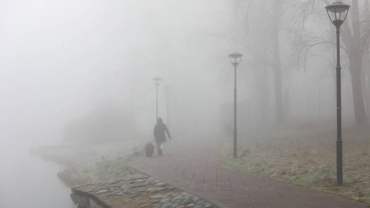 Плотный туман в Москве, как в последние сутки, последний раз был в 2009 году