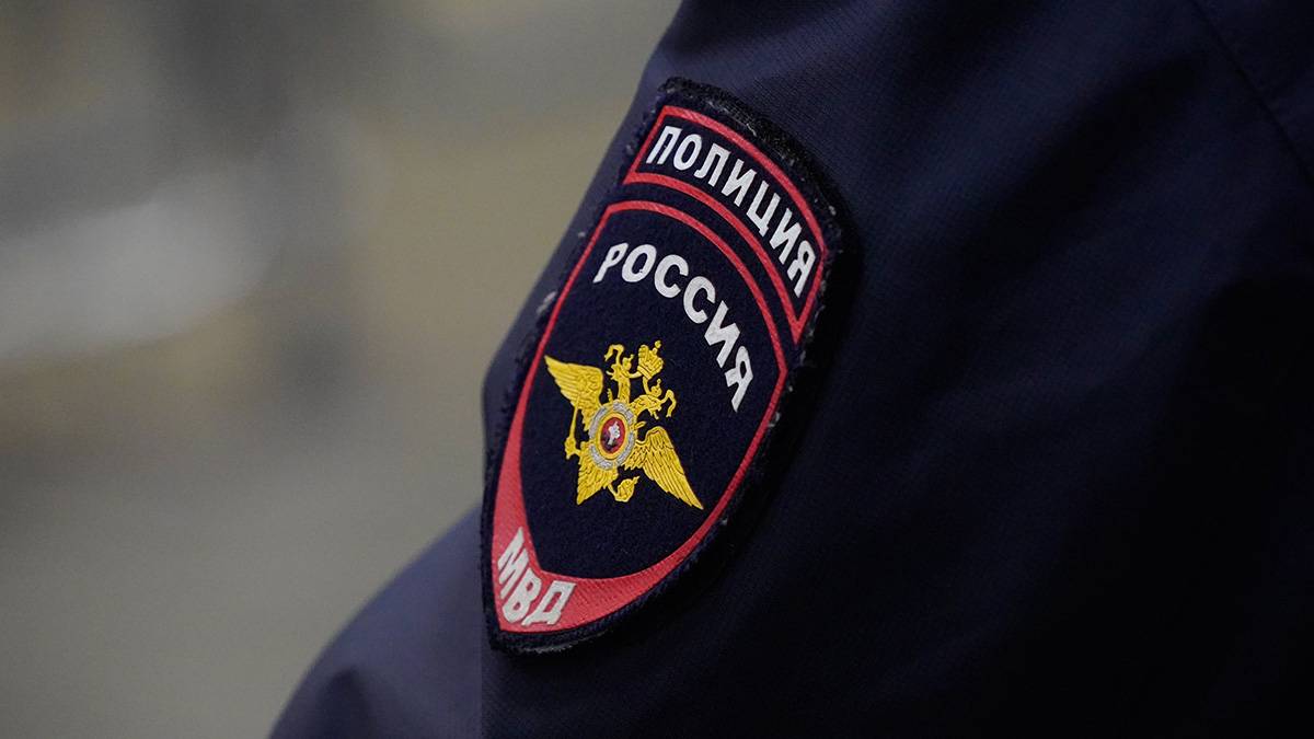 Полиция задержала насильника в Москве, жертва которого выпрыгнула из окна