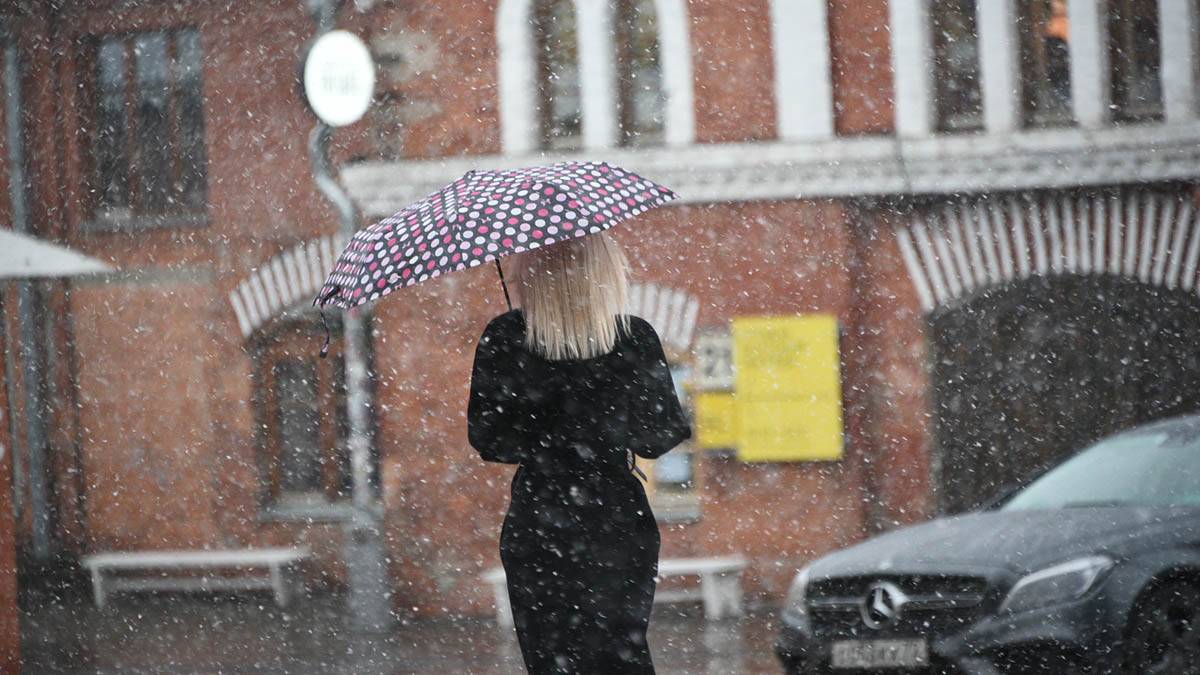 Снег и оттепель ожидаются в Москве в последний день января