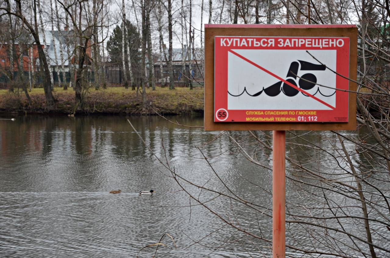 Знаки «Купаться запрещено» заменили на Царицынских и Борисовских прудах. Фото: Анна Быкова