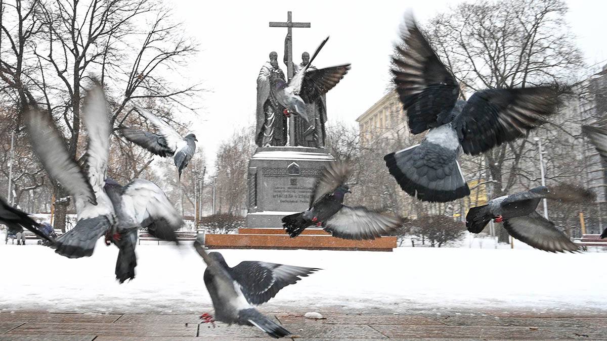 «Теплый сэндвич»: синоптик рассказал о грядущей зиме в Москве