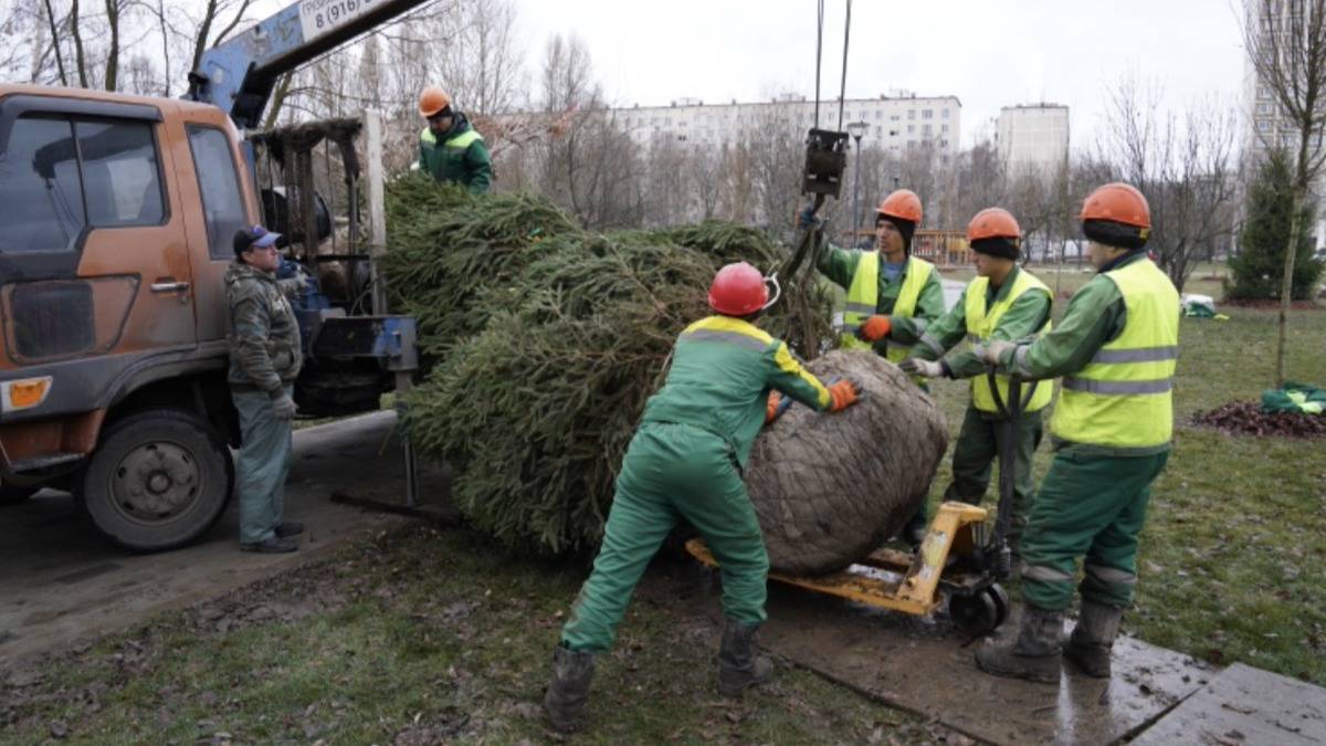 Высадка деревьев стартовала в парке «Яуза» на северо-востоке Москвы