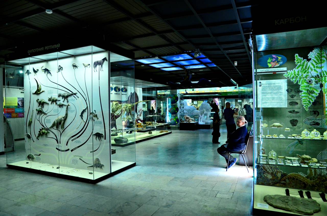 Очень красиво: в Дарвиновском музее анонсировали новые выставки. Фото: Анна Быкова