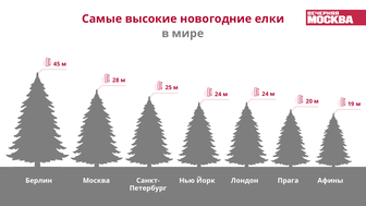 Самые высокие новогодние елки в мире