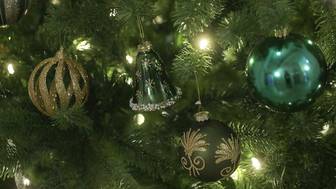 Психолог перечислила три шага, которые помогут исполнить новогодние желания