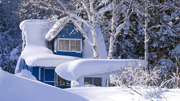 700 61af6c6182682c200d91ffb9 для чего нужен снег растениям