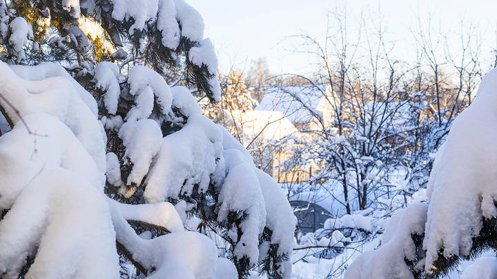 720 61af6c6282682c200d91ffba для чего нужен снег растениям