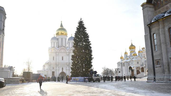 Кремлевская елка на Соборной площади / Фото: Пелагия Замятина / Вечерняя Москва