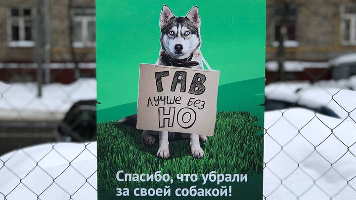Мотивационные плакаты для владельцев собак в столичном районе Перово / Фото: Мобильный репортер / АГН Москва