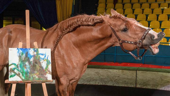 Лошадь по кличке Найлис нарисовала картину в московском цирке-шапито «Радуга» / Фото: Денис Гришкин / АГН Москва