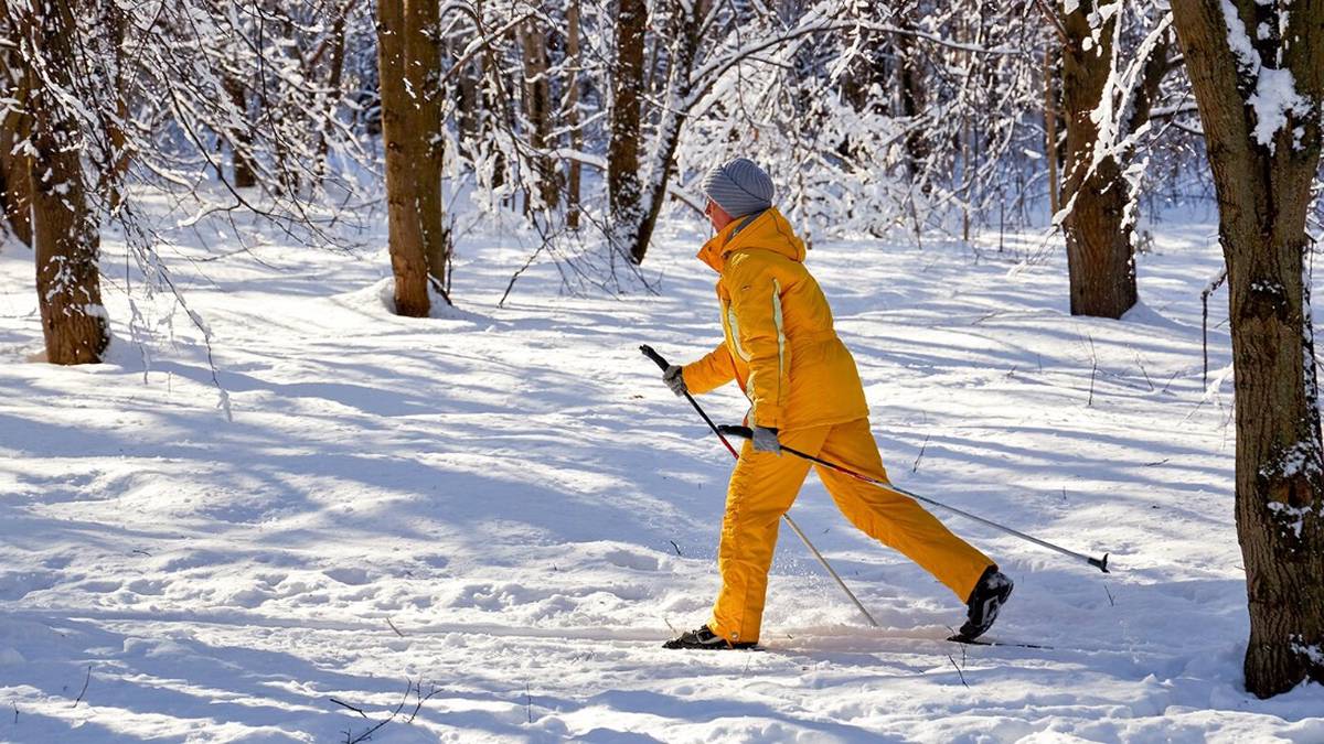 Более 50 бесплатных лыжных трасс оборудовали в парках Москвы