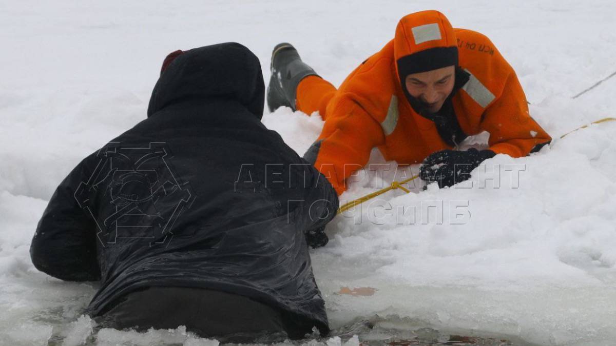 Мужчина с собакой провалились под лед в районе Нагатинской затон