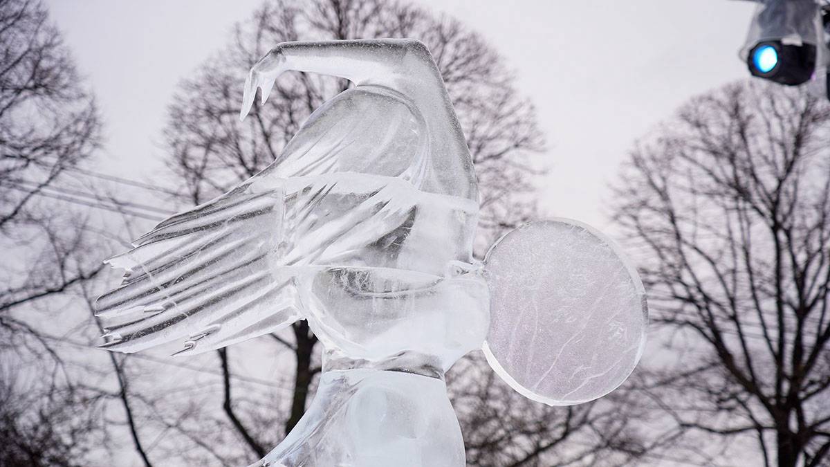 Голосование за самую красивую ледяную скульптуру стартовало на «Активном гражданине»